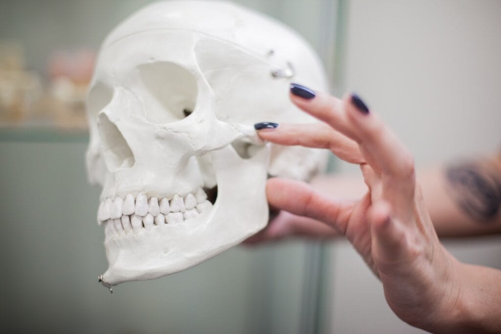 Gnatologia per comprendere i dolori mandibolari